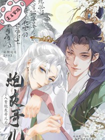 入赘炮灰哥儿后