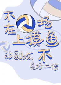 [少年漫同人] 不在排球场上摸鱼的副攻不是好二传